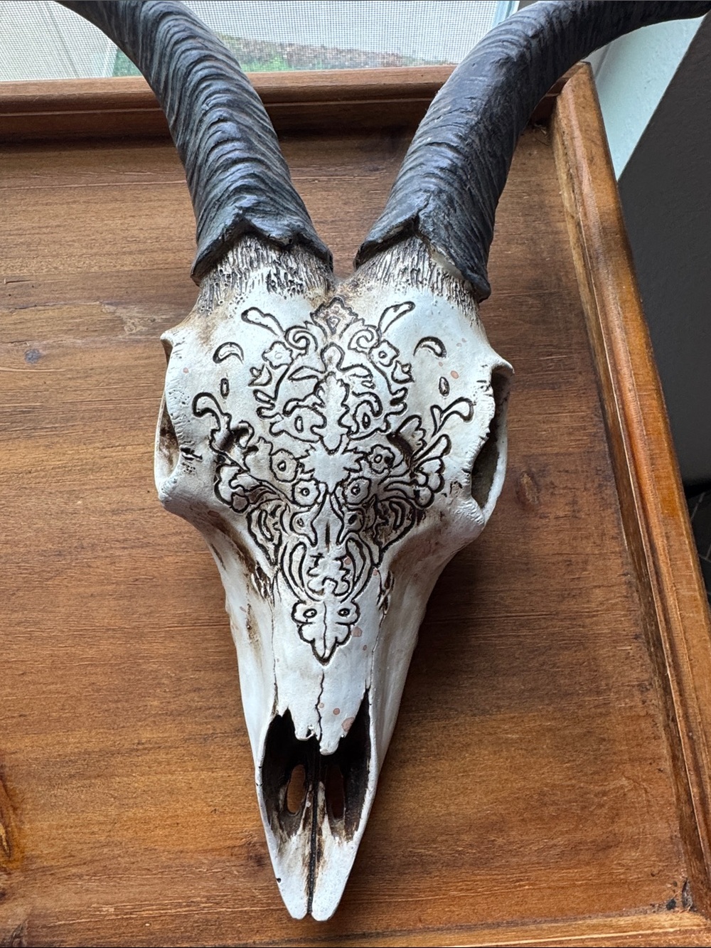Decorative Etched Faux Animal Skull Accent - White and Brown